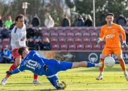 ZFC Meuselwitz FC Carl Zeiss Jena 23112024 22